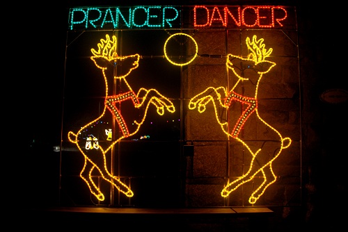Reindeer Prancer & Dancer 2013