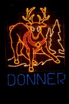 Reindeer Donner 2013