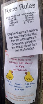 Duck Race - Rules