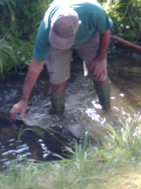 Adjustments to the Weir | May 2011 Adjustments to the Weir | May 2011